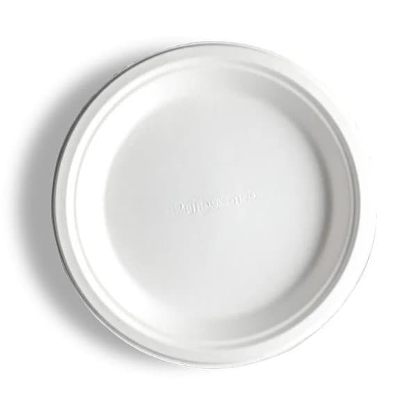 10 Inch Round Plate