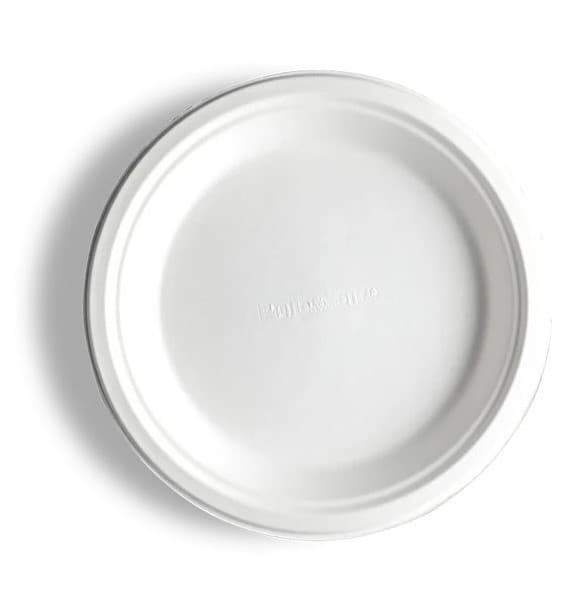 9 Inch Round Plate